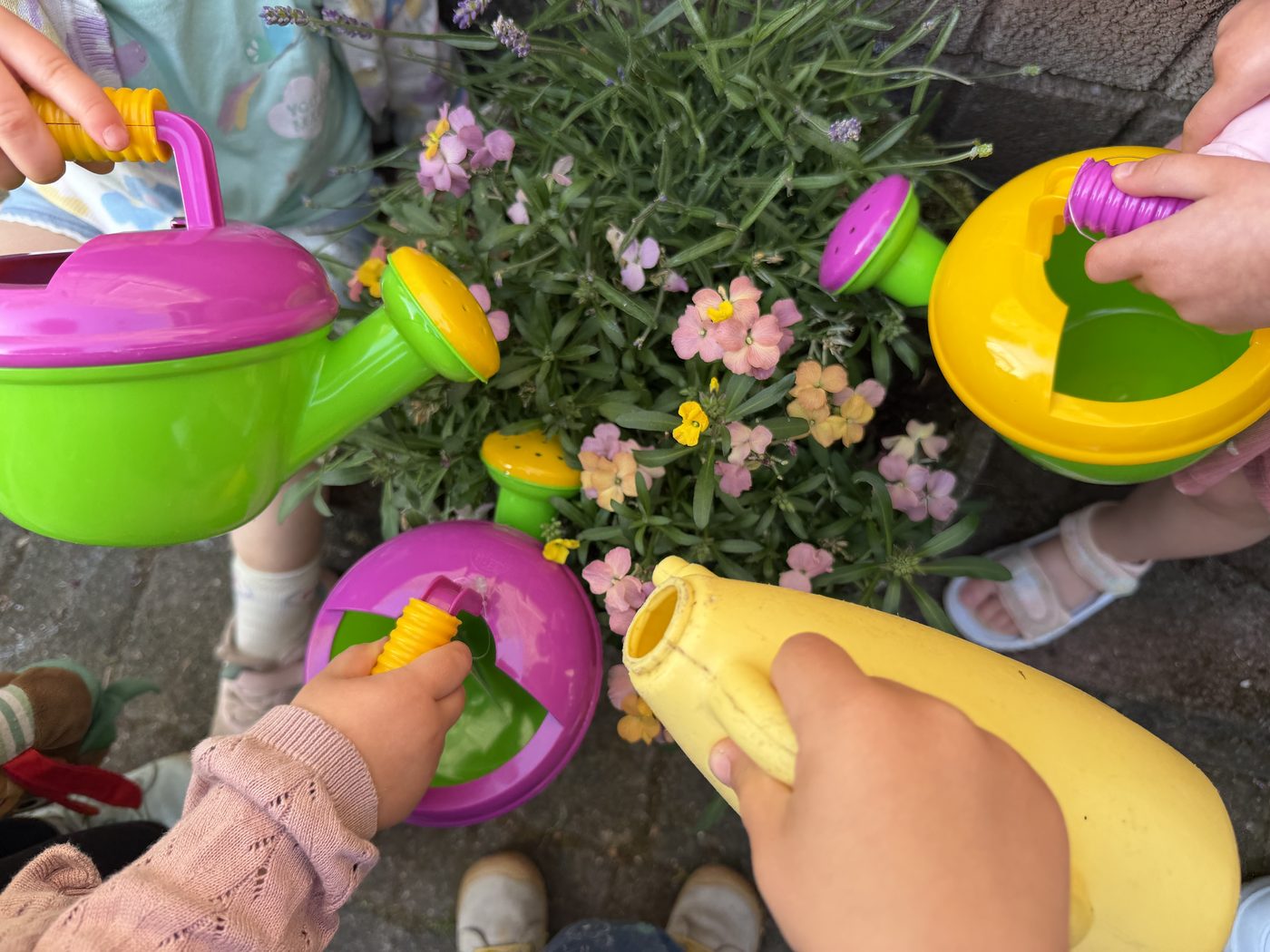 Kleine Hände mit bunten Gießkannen beim Blumen gießen